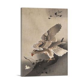Hawk Hunting (Type: Standard Framed Canvas Print, size: 32" x 24" / 80cm x 60cm (approx))