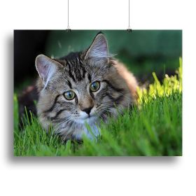 Hunting in the grass Canvas Print or Poster (Type: Poster Print, size: 24" x 16" / 60cm x 40cm (approx))