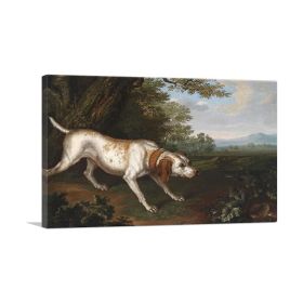 Hunting Dog (Type: Standard Framed Canvas Print, size: 28" x 20" / 70cm x 50cm (approx))